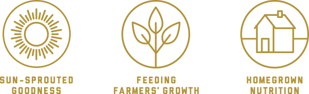 Sun-sprouted goodness | Feeding farmers' growth | Homegrown nutrition