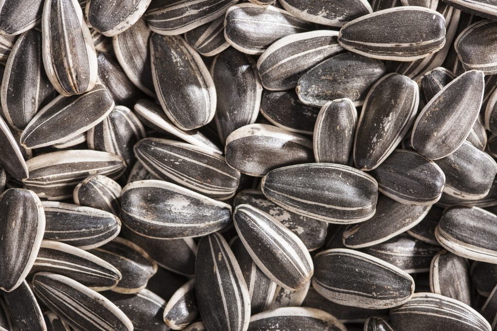 Roasted Sunflower Seeds | Red River Commodities